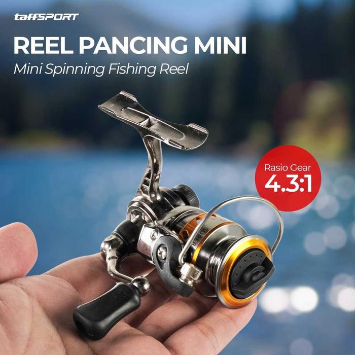 Reel Pancing Mini Reel Pancing MN100 Spinning Fishing 4.3:1 Gear Ratio 12+1 Ball Bearing