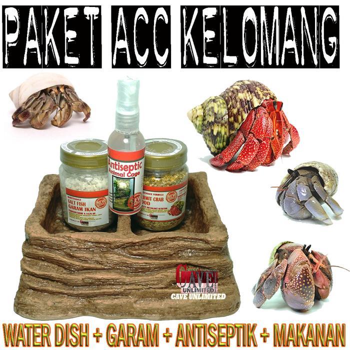 Siap Kirim - PAKET PERLENGKAPAN KELOMANG KEONG UMANG POMPONGAN KUMANG LENGKAP AKSESORIS HEWAN PELIHA
