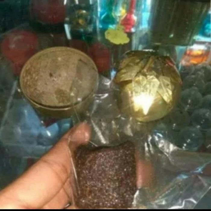 Apel Jin Daun 19 Asli Import Turkey