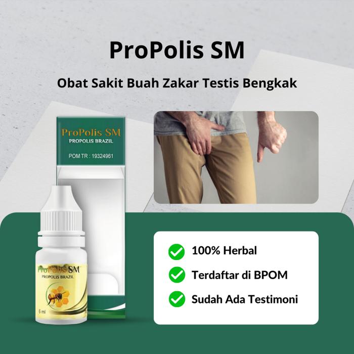 PROPOLIS SM - OBAT SAKIT BUAH ZAKAR, OBAT BUAH ZAKAR BESAR SEBELAH, OBAT BUAH ZAKAR TURUN, OBAT BUAH