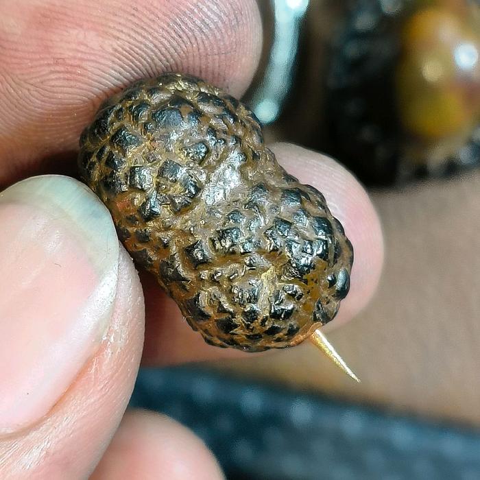 cincin batu akik Wesi kuning selonata penemuan asli alam
