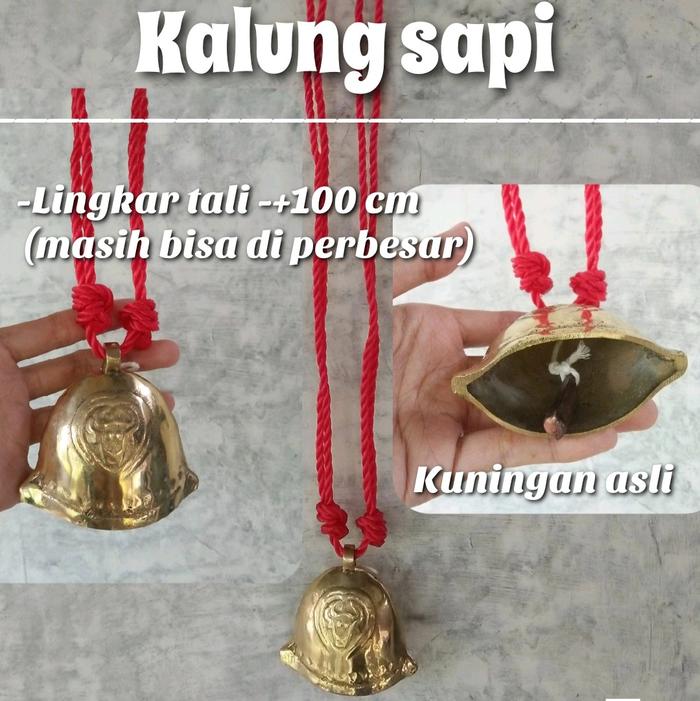 Kalung Hewan / KLUNTUNG SAPI / Kalung Sapi / aksesoris hewan