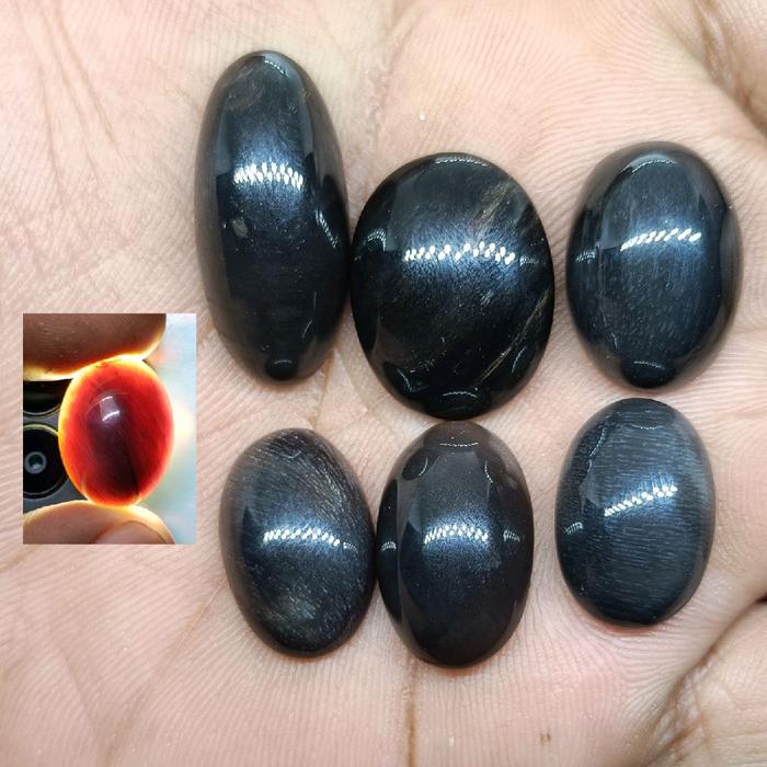 Batu Fosil Galih Kelor Hitam Pekat , Full Tembus , Keristal