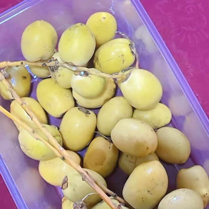 Kurma muda.sajadah.jenis produk impor,untuk kenyamanan ibadah