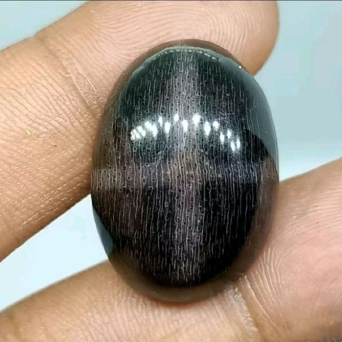 Batu Fosil Galih Kelor , Motif Tapak Jalak