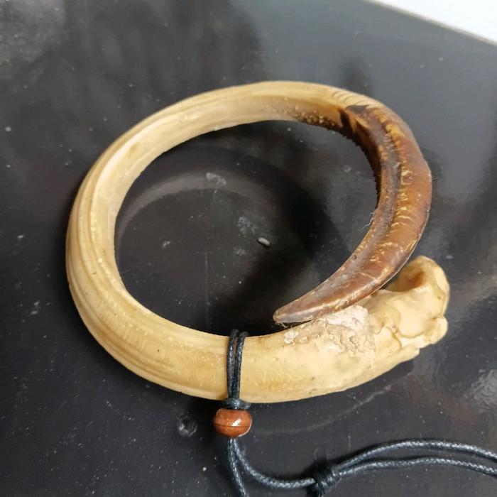 Kalung Taring Melingkar Ngurak Jumbo Replika Resin dengan Desain Unik dan Tali Hitam