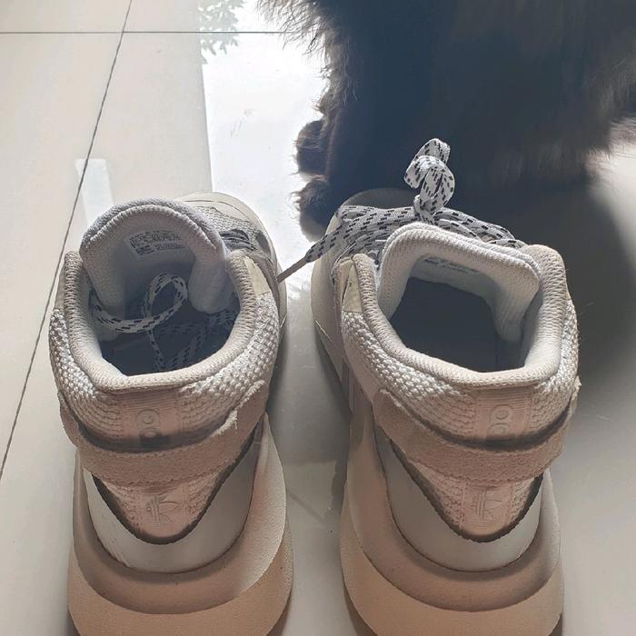 Sepatu pria wanita brended size 42 cm insole 265 mm second