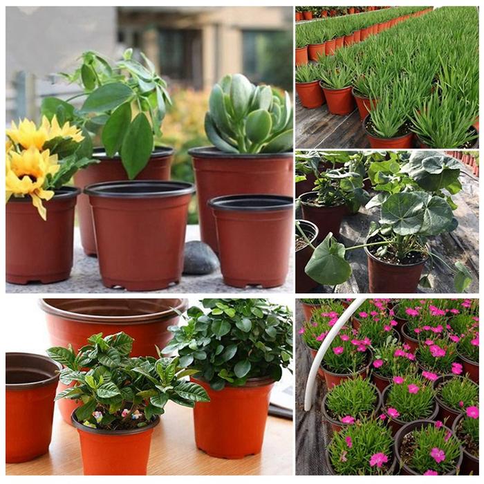 50/20 Buah Pot Bunga Plastik Sederhana Pembibitan Bibit Pot Bunga