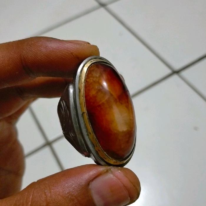 pandan Merah Combong Alami JaduL Lawas
