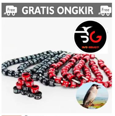 RING KUTILANG RING BURUNG KUTILANG