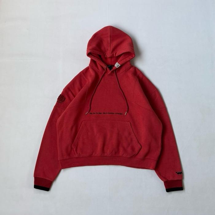 Alice in Wonderland Hoodie by WVProject Oversize Boxy Fit