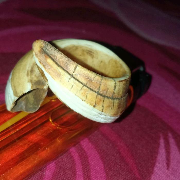 taring tarbi babi nguraak tua kalimantan kalung gelang adat tarbi