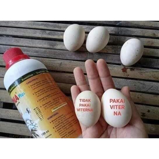 Premix Penggemuk Lagantor Milku Multivitamin Mempercepat Pertumbuhan