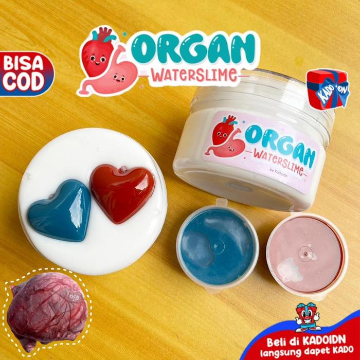 Water Slime ORGAN By Kadokado.idn 250 ML - Mainan Water Slime Organ Slime