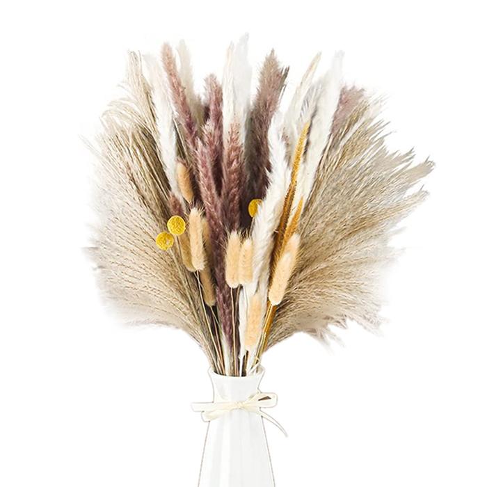Pampas Grass Pompous Grass Dried Pampas Grass Boho Flowers Pampas
