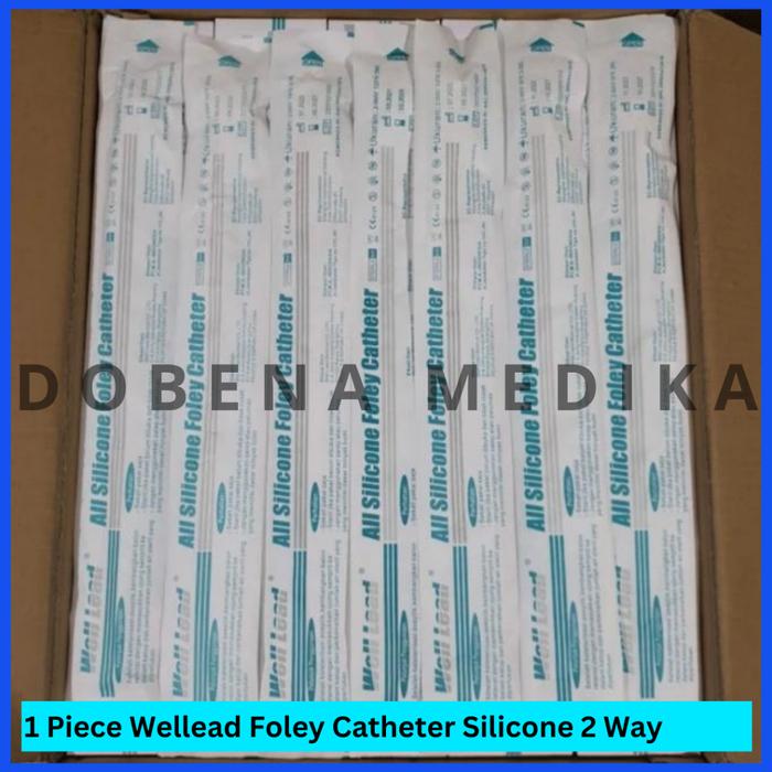 Wellead Foley Catheter Silicone 2 Way No 06 08 10 12 14 16 18 20 22 24