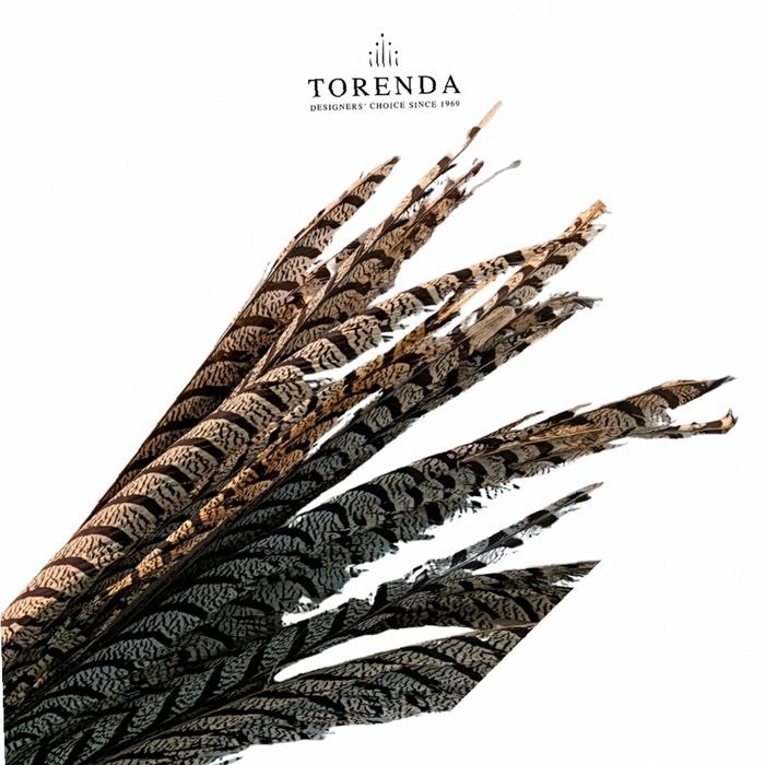 Torenda Payet Bulu Antik Sun Go Kong Bulu Ayam Natural Pheasant Tail Feathers Pheonix | Kekinian