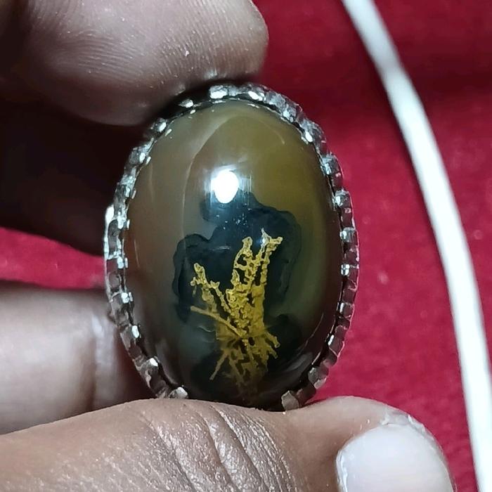 Batu akik bulu perindu