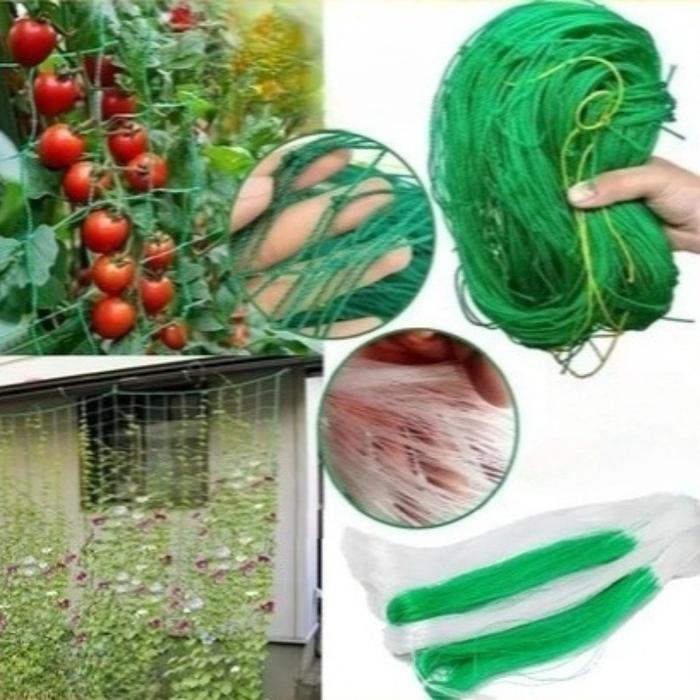 Rambatan Tanaman Untuk Bertani Jaring Rambatan Tanaman Buah Merambat Plant Climbing Net Kebun Buah A