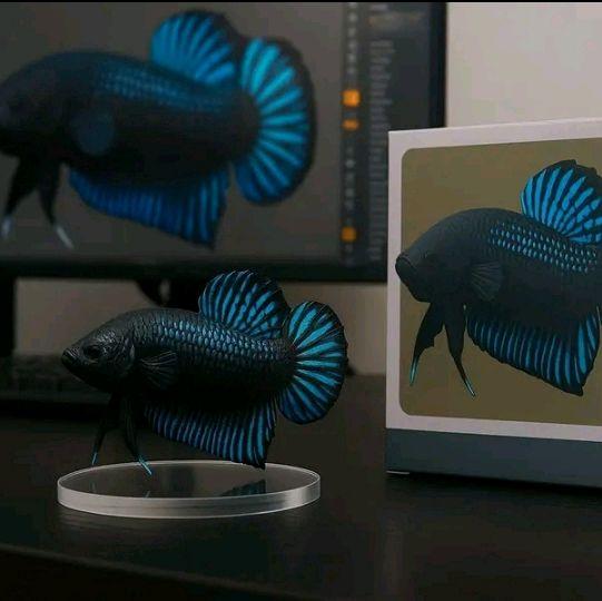 hiasan aquarium paket cupang plakat 4 ekr