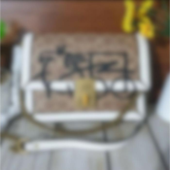 Tas Selempang Wanita  5461 Hutton Shoulder Bag in Signature Canvas With Abstract Horse and Carriage