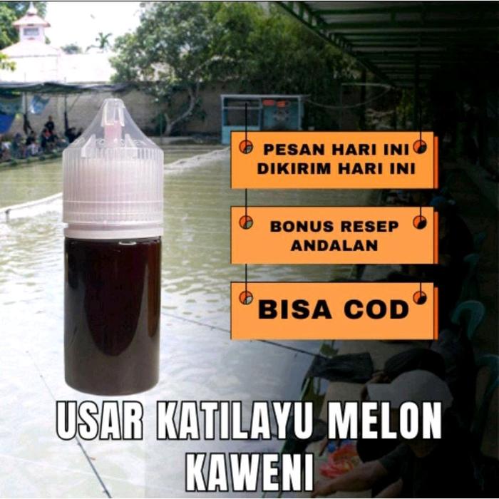 Essen ikan mas usar katilayu melin kweni.