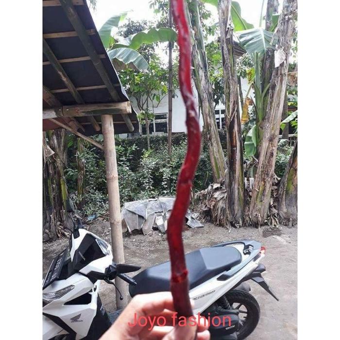 Pohon Akar Bahar Merah Hitam Bahan Gelang Asli