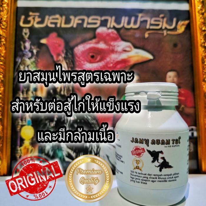 Obat Cacing ayam White Champ Obat  Ayam Jago Bangkok Jamu
