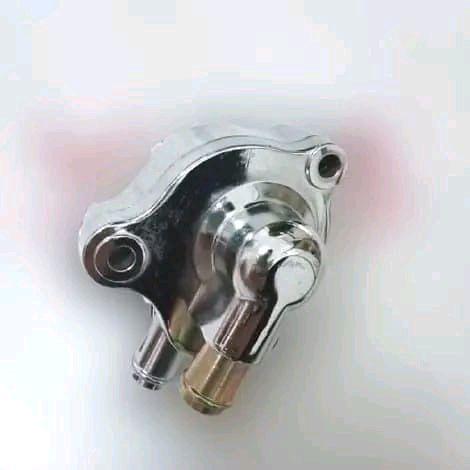 Pump Assy Viar Karya bit 100cc