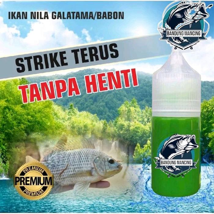 Essen ikan nila media lumut paling ampuh essen ikan nila cacing essen ikan liar nila pelet essen ika