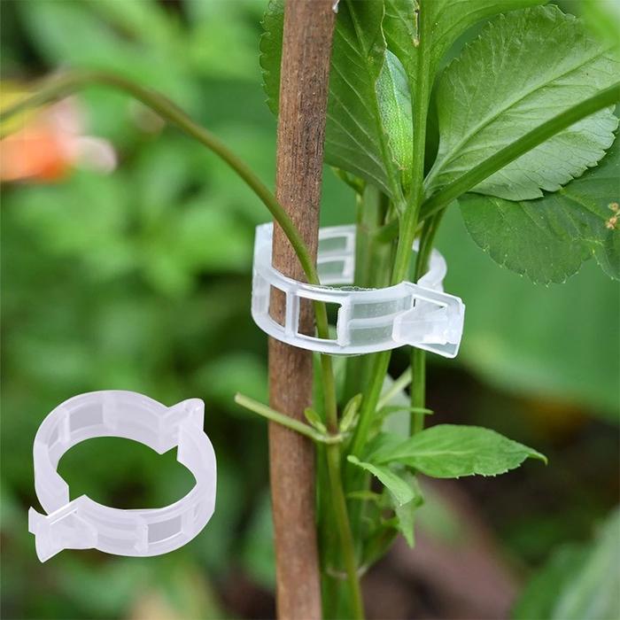 100PCS Clip Holder Klip Tanaman Merambat | Alat pengait Tanaman Sayuran Tomat Mentimun Cabe Paprika