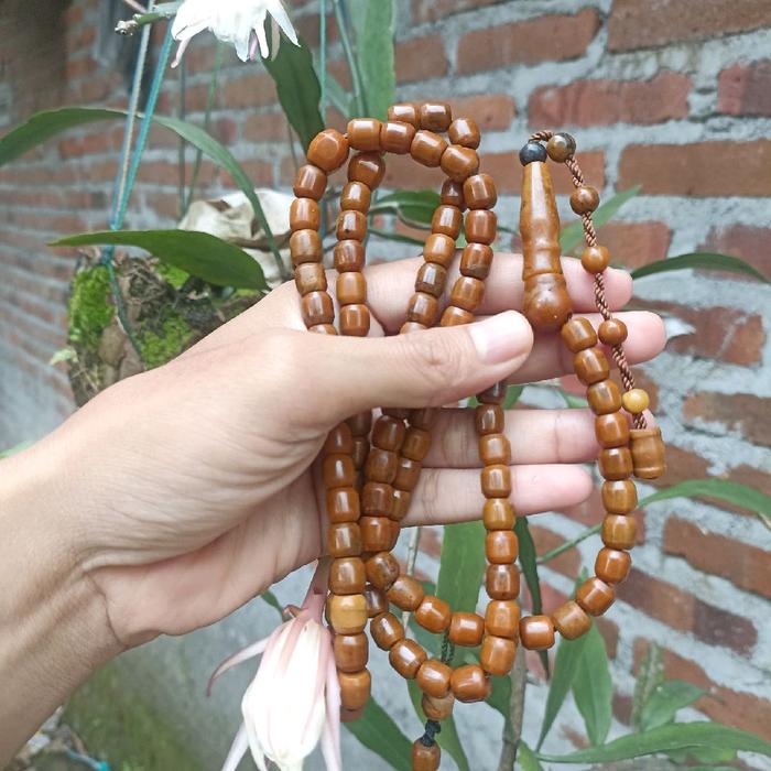 tasbih batu katilayu bukan marjan laut merah