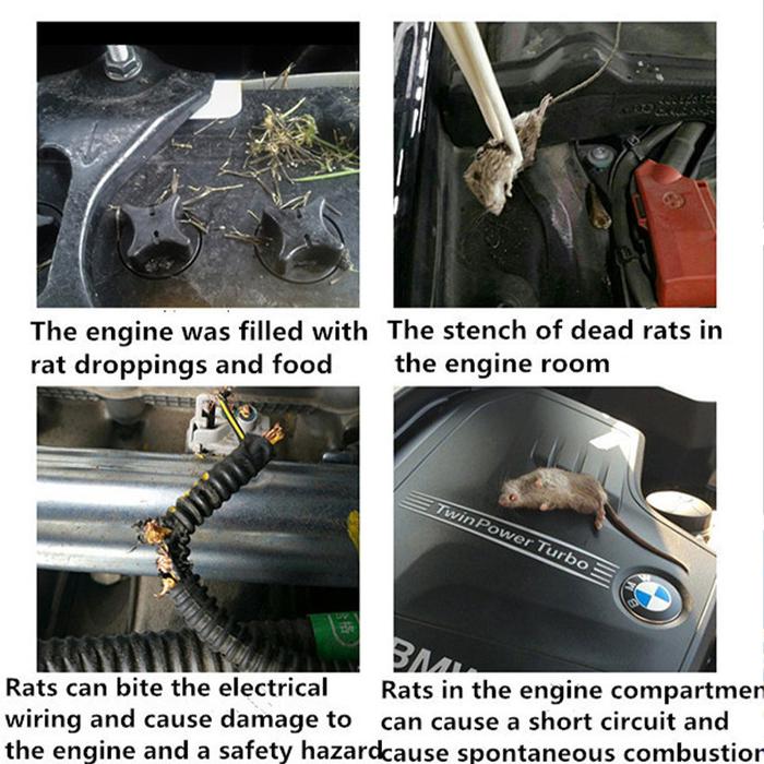 Semprotan Pengusir Tikus di rumah mesin mobil paling ampuh / Pembasmi Tikus Dalam Rumah