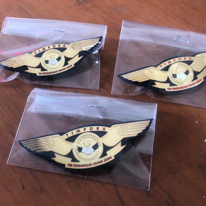 pin tim pengawasan orang asing (timpora)