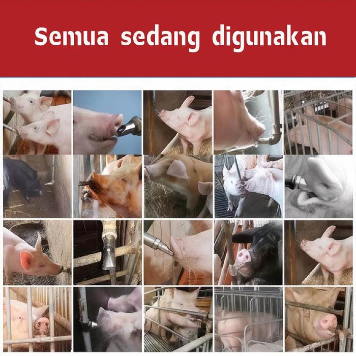 5 Pcs Alat Minum Hewan Sapi Kecil Tempat Minum Dot Stainless Babi Niple Drinker Alat Minum Babi