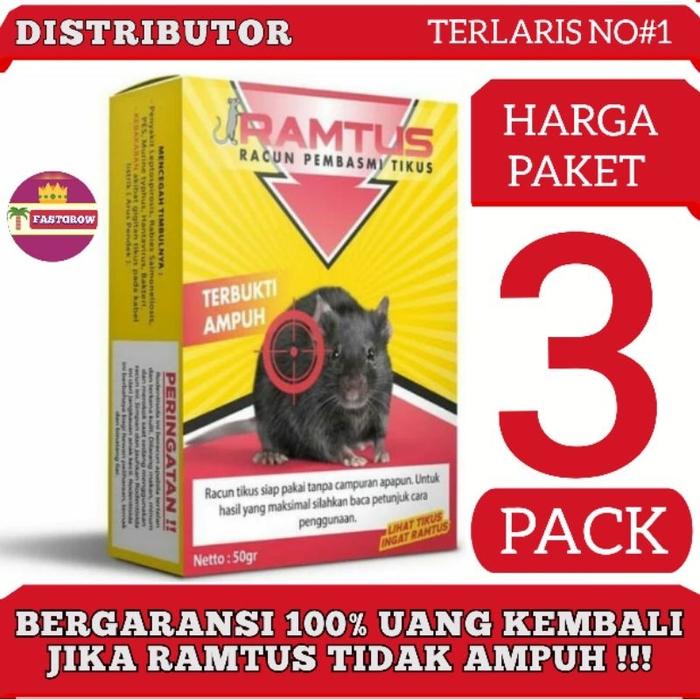 RACUN TIKUS ampuh RAMTUS mati kering perangkap Pengusir jebakan pembasmi tikus ampuh