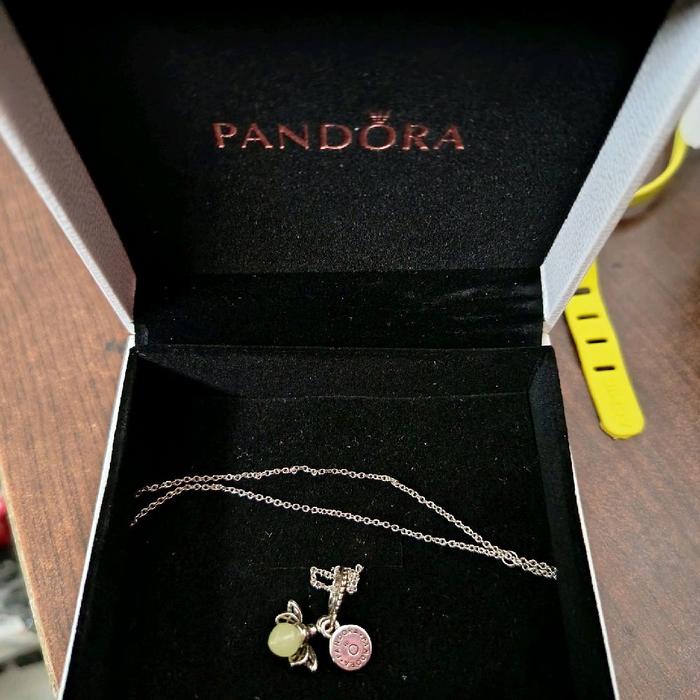 Kalung Necklace Pandora original silver Ale s925