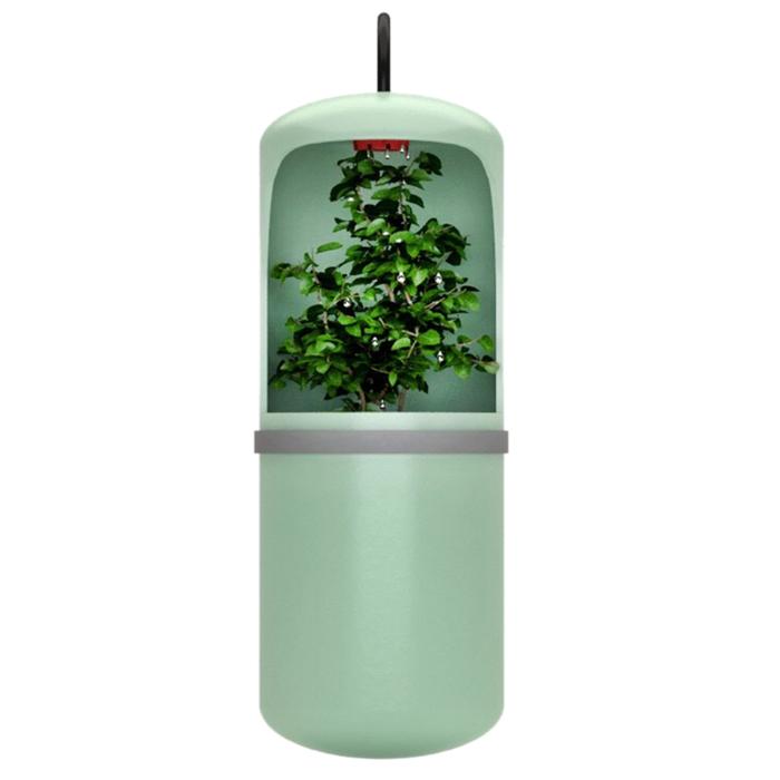 Automatic Water Drinking Reptile Water Feeder Reptile Drinking