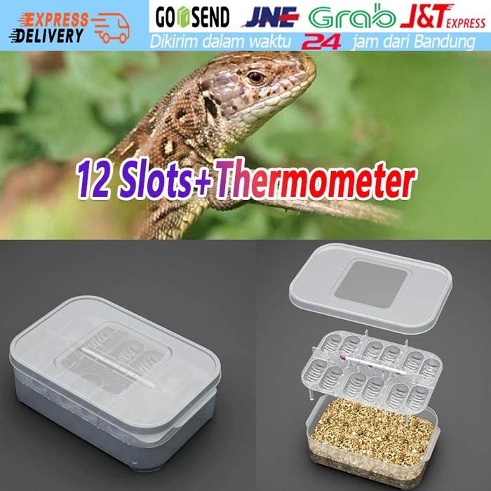 Inkubator Telur Reptile Incubator Egg Gecko Kadal Reptil Egg Penetas Telur 12 Slot