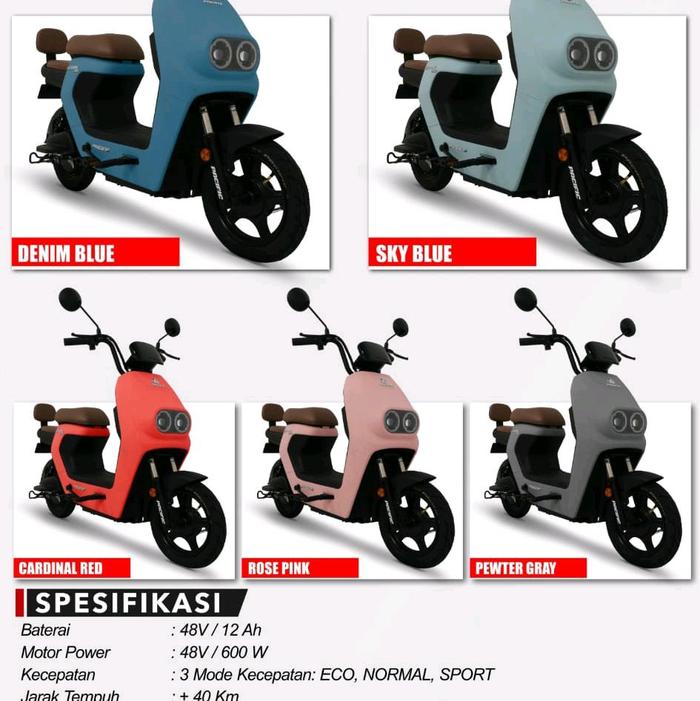PASIFIK ZECKROM 200 MOTOR 600WATT 48V12AH