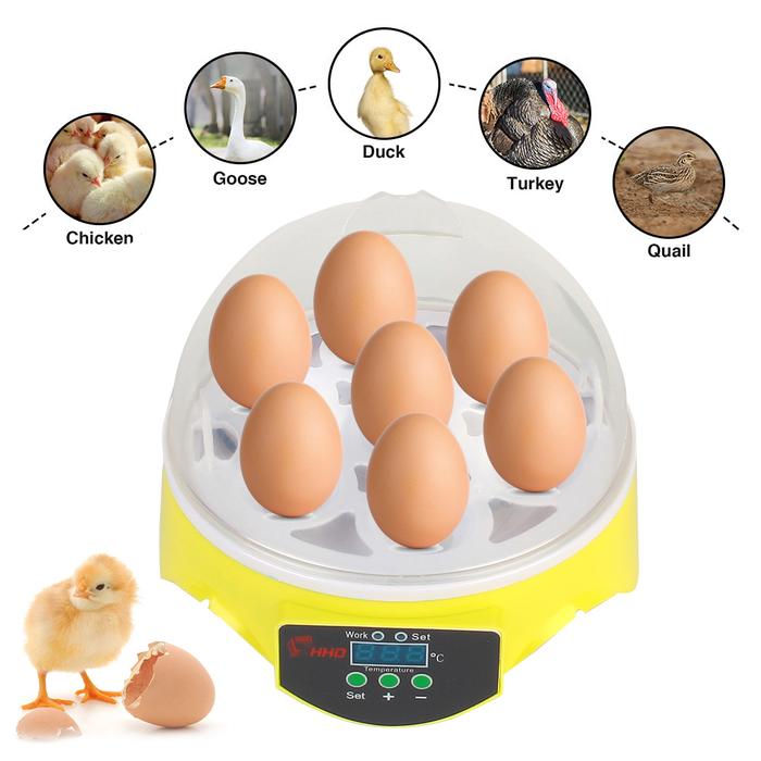 Mini Egg Incubator 7 Eggs Farm Hatchery Brooder Adjustable Digital