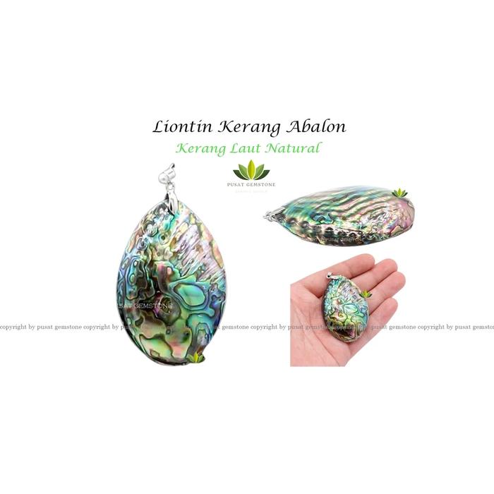 Liontin Kerang Abalon Kerang Laut Natural
