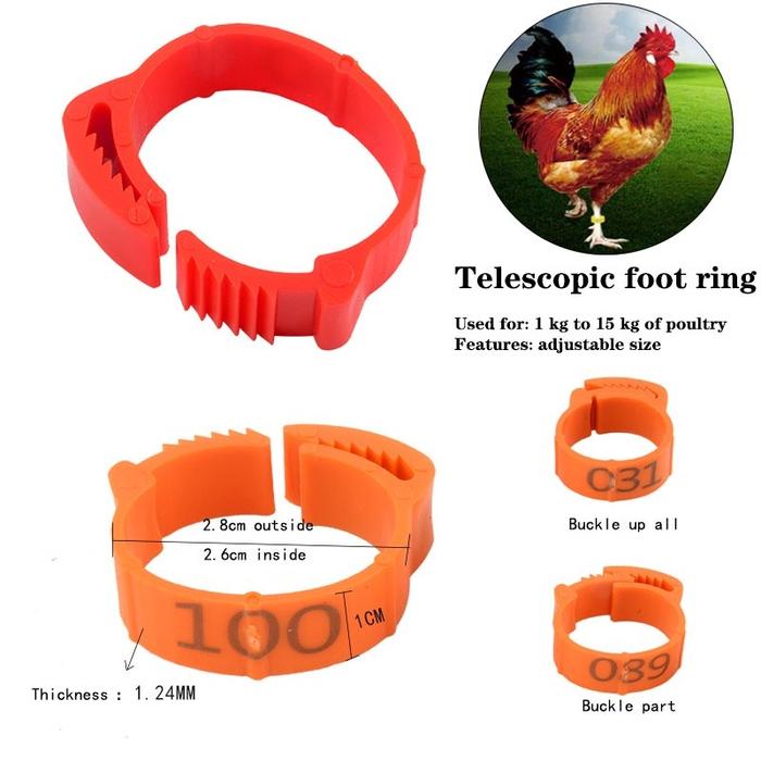 100pcs Cincin Ring Gelang Kaki(Ayam & Bebek)/Ring Gelang Kaki Ayam Nomor 001-100/ring Ayam/ring Kaki