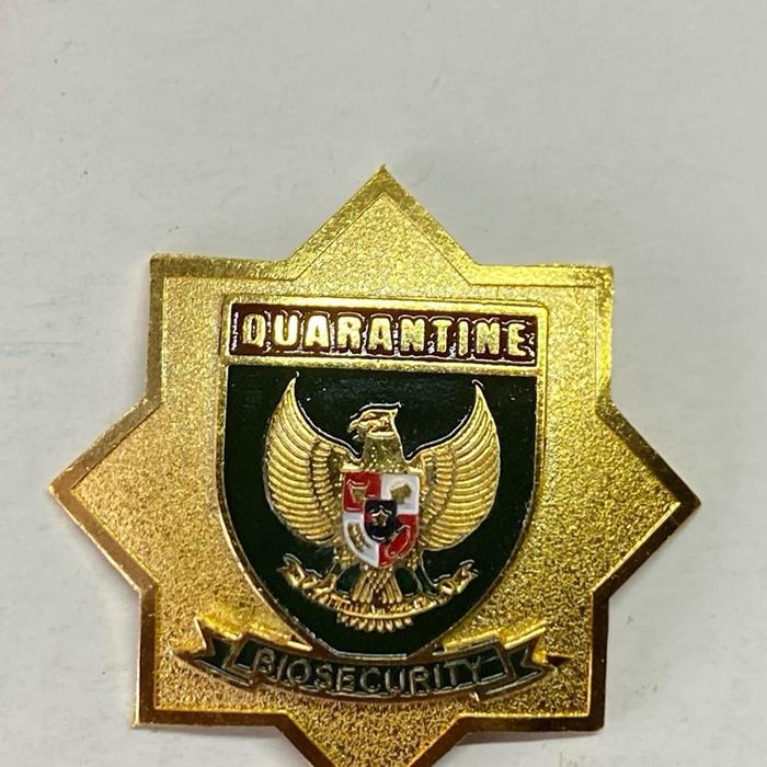 PIN QUARANTINE SECURITY MAGNET