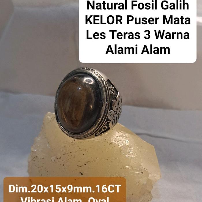 Batu Natural Fosil Galih KELOR PUSER BUMI Serat Emas Les Aktif Alami Les Teras Sumatra 3 Warna | Mor