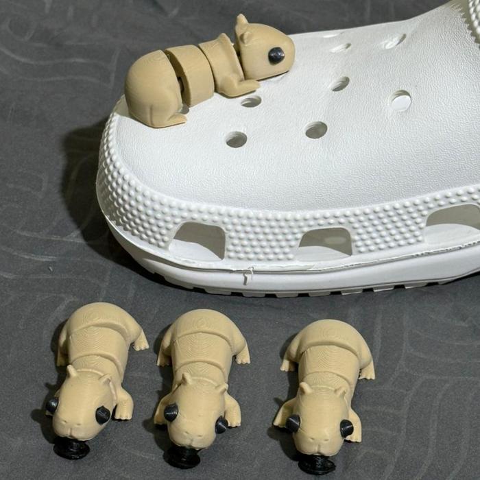 Pin Sandal Accesories Capybara Pin Sandal Geol Uget Uget Hiasan Sandal Baim Pria Wanita