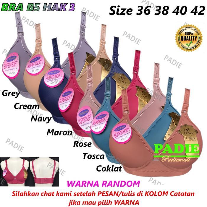 PREMIUM BH / Bra Wanita Cewek Dewasa FEMA B5 Cup B Busa Sedang Tanpa Kawat Kaitan 3 Size 36