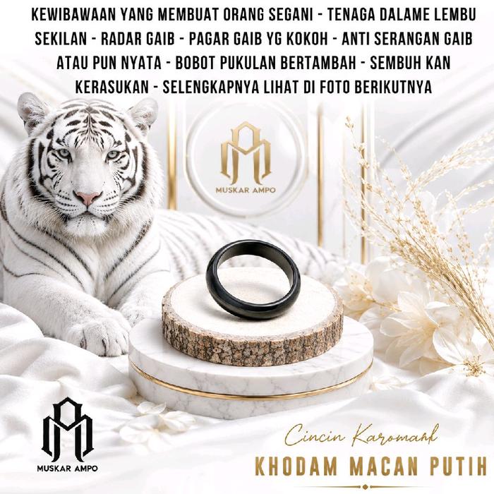 Cincin Titanium KMP CLASSIC Series By MUSKAR AMPO