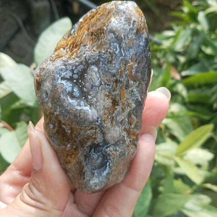 fosil bambu kristal unik bahan langka utuh alami
