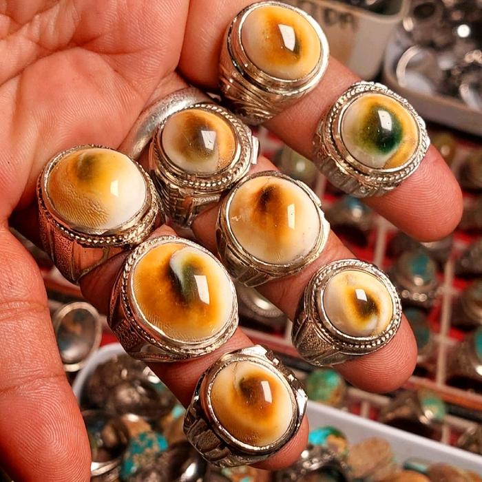 CINCIN KEONG BUNTET  LAUT ASLI KEONG TEMBUS SENTER